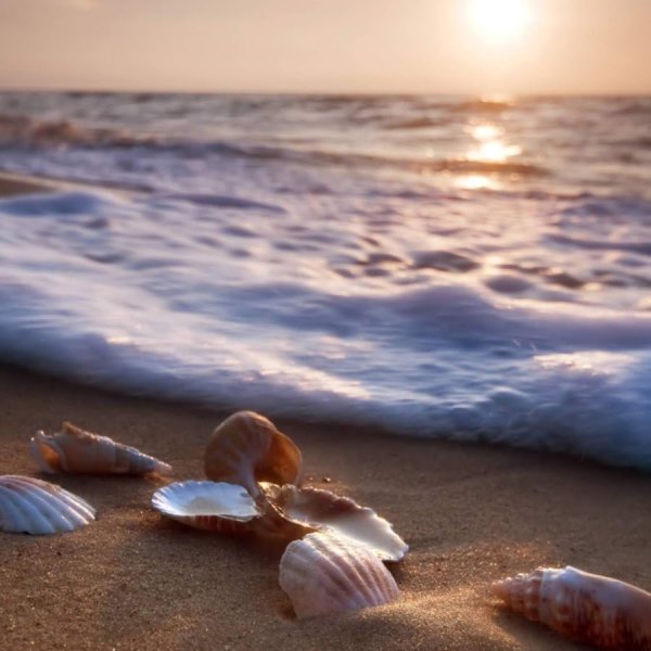 Красивые селфи на море