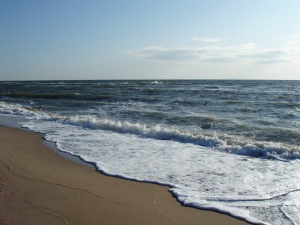 Сейши на Азовском море