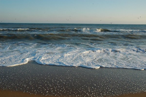 Азовское море мелкое