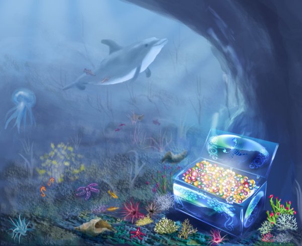 Морские сокровища