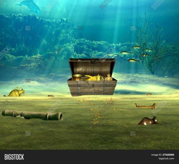 Морские сокровища на прозрачном фоне