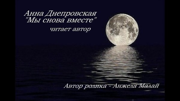 Красивый закат на море с дельфинами