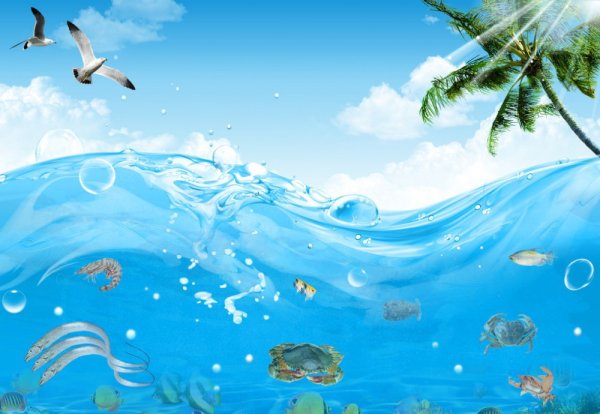 Море для дошкольников