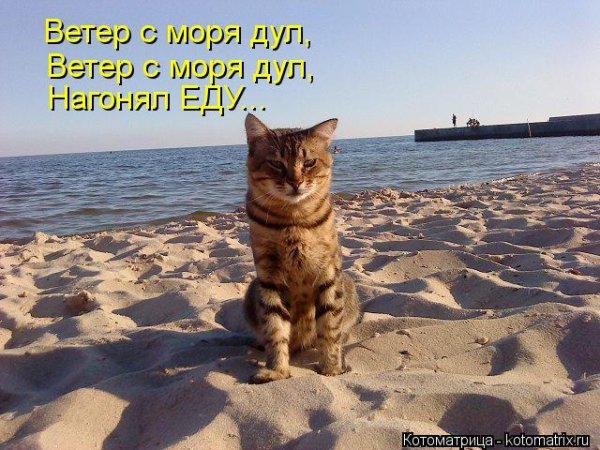 Шутки про отдых