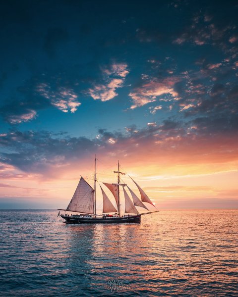 Барк Седов в море