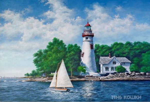 Чайки над кораблем