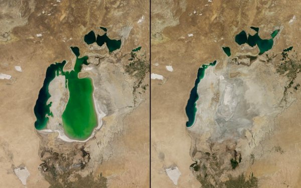 Аральское море 1950