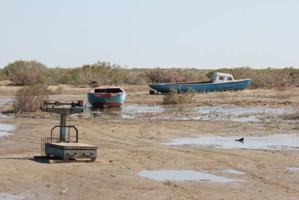 Аральское море 2022