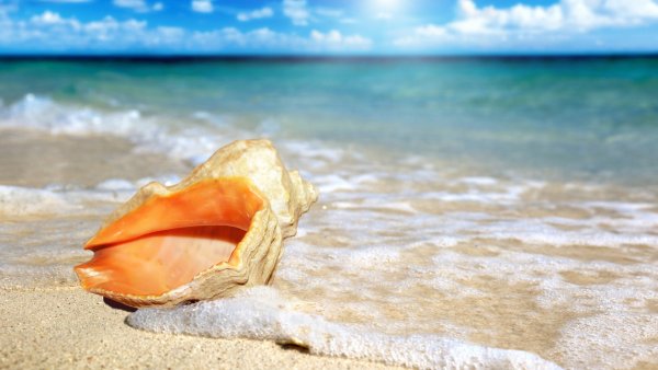 Заставка море пляж