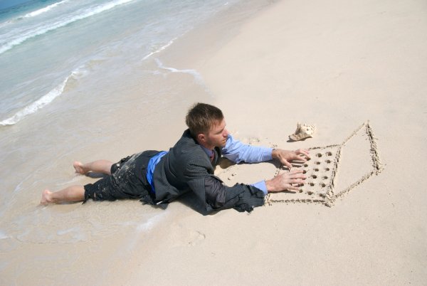 Собака на пляже