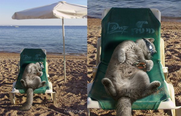 Смешные афоризмы про отпуск