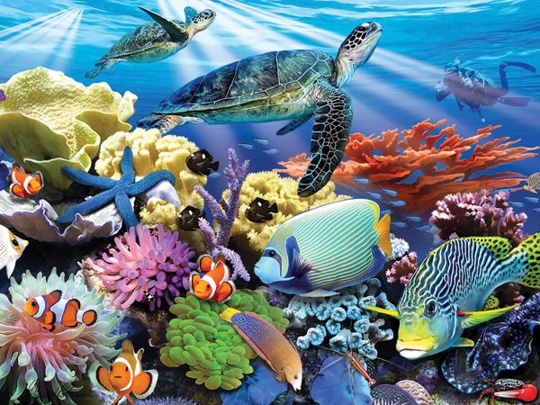 Морские жители