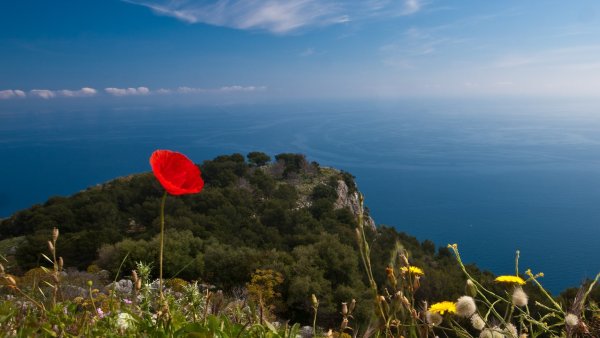 Весна в Крыму