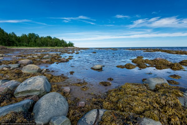 Берег белого моря Карелия