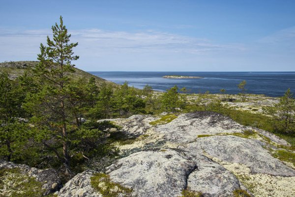 Карелия природа белое море
