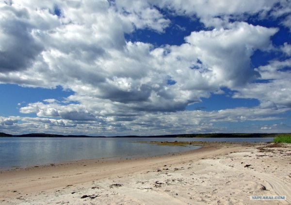 Песчаный пляж белого моря в Карелии