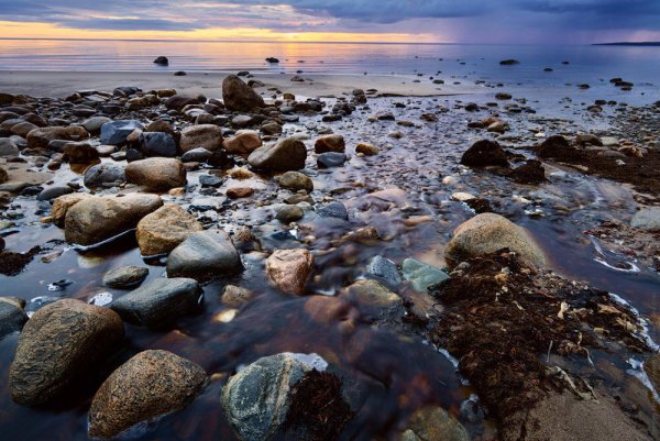 Беломорское побережье