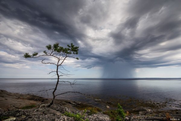 Белое море Кандалакша