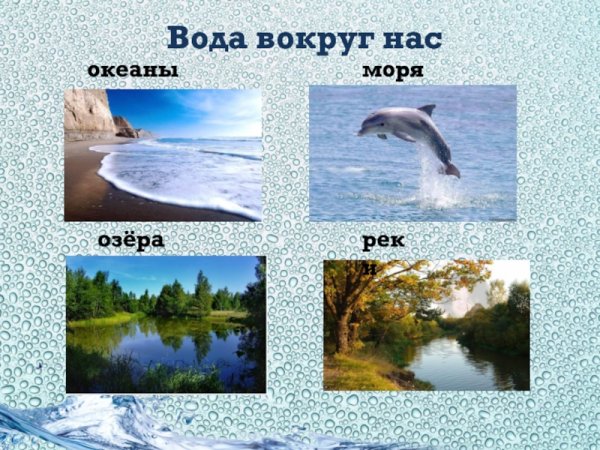 Реки озера моря океаны