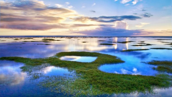 Красивые виды воды