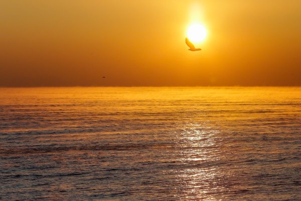 Восход солнца на море