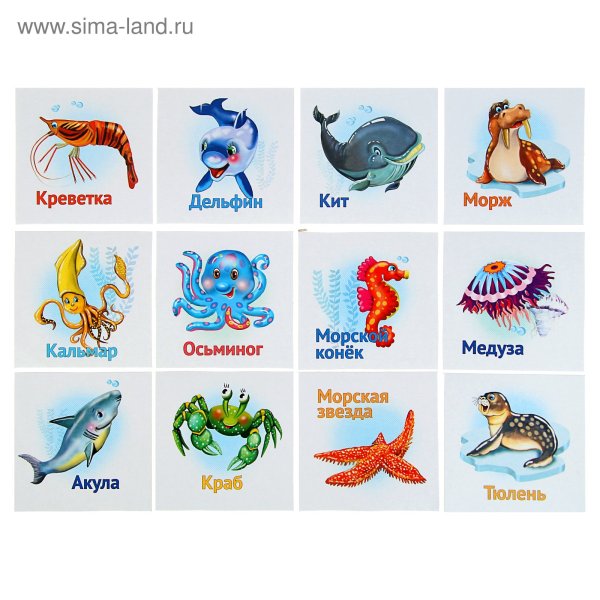 Карточки морские обитатели