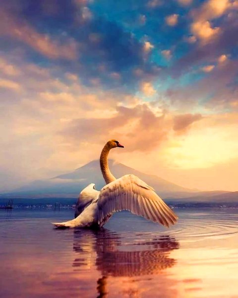 Летний закат на море