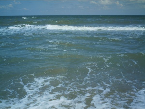 Черное и Азовское