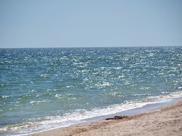 Седово Азовское море