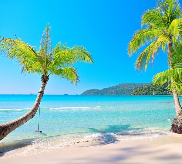 Пляж с пальмами