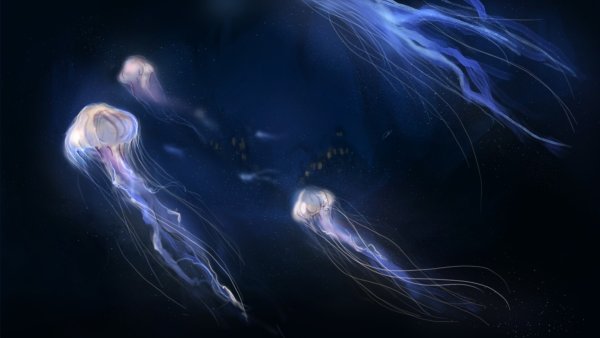 Инфраухо медузы