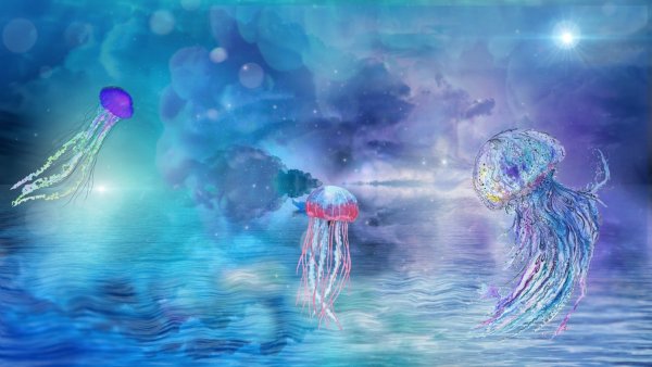 Коралловая медуза