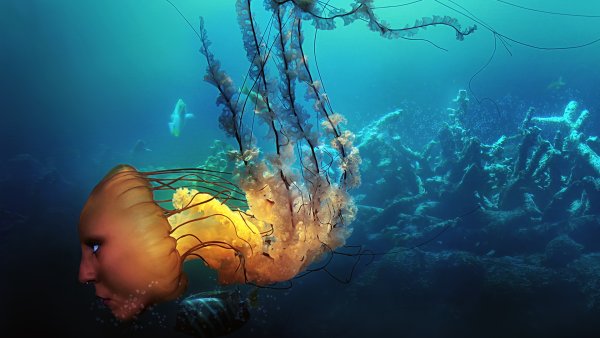 Синий цветок в океане