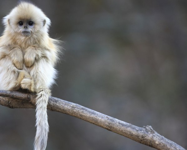 Открытки для поднятия настроения