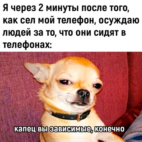 Смешные надписи на пляже