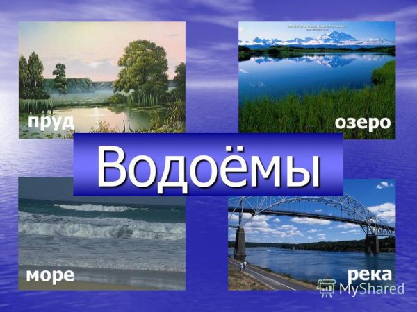 Водные богатства нашей планеты