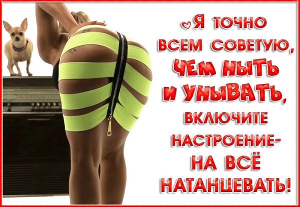 Назло неудачам назло заварухам