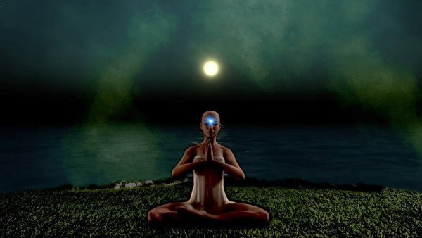 Фотосессия на фоне пальм