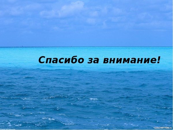 Спасибо за внимание море