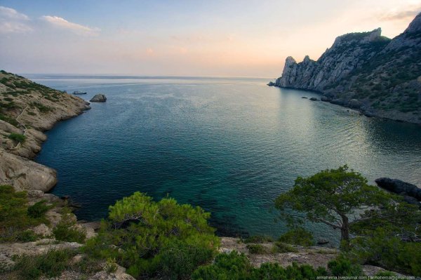 Бухта новый свет Таврида