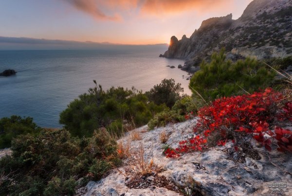 Скалистые берега Крыма