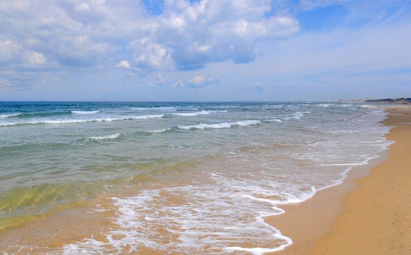 Золотой пляж Витязево