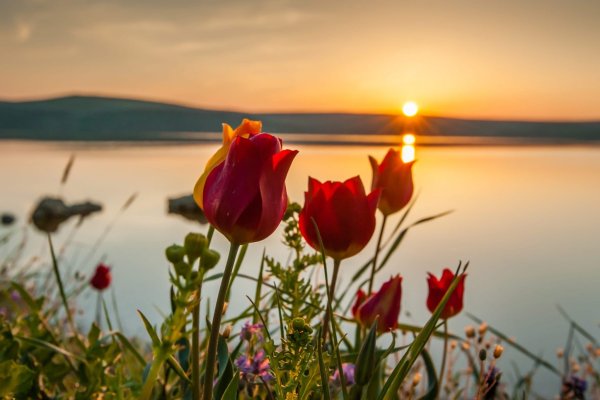 Потрясающие морские пейзажи
