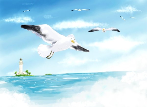 Чайка для детей