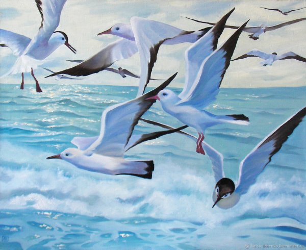 Чайки над водой живопись