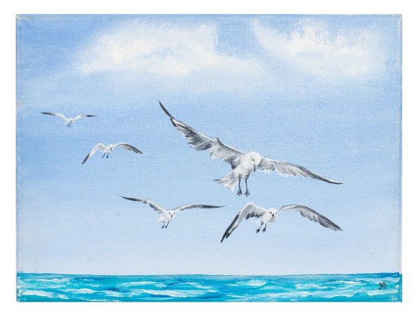 Чайки над водой рисунок