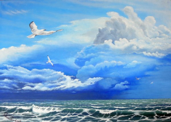 Море небо Чайки