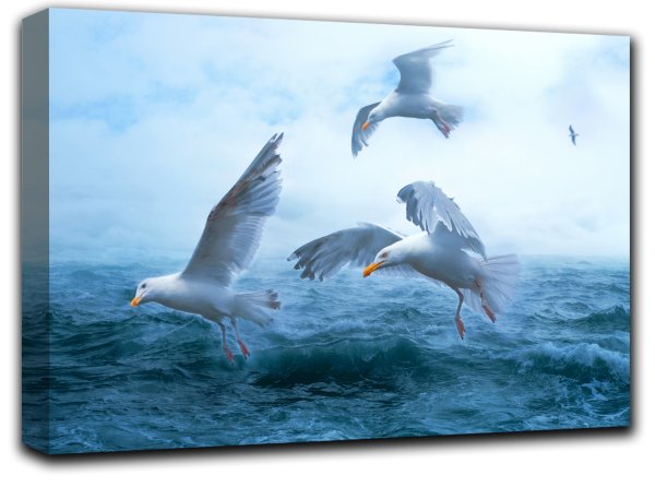 Фон две Чайки на море