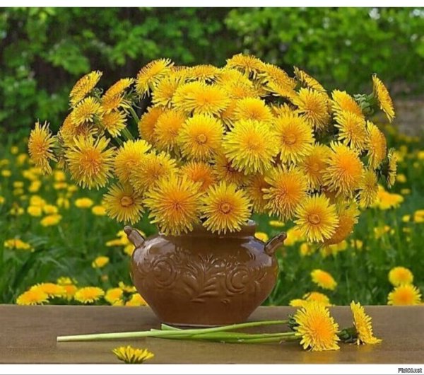 Прекрасного солнечного настроения