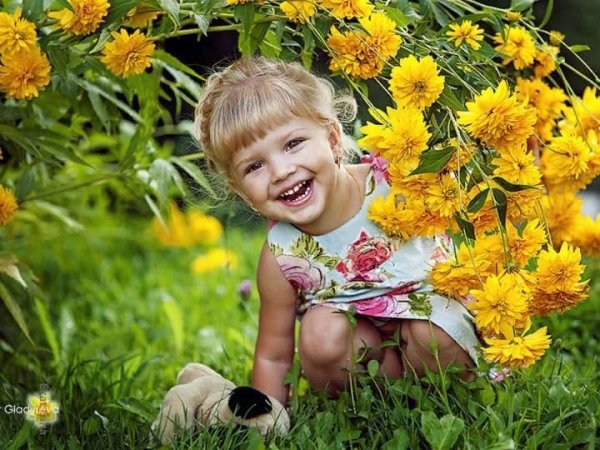 Солнечного радостного дня